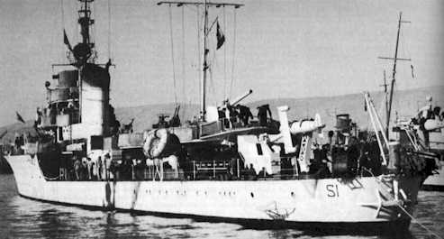 La Torpediniera Sirio (Foto Whitley)