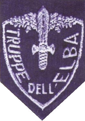 Scudetto per truppa (Tratto dal libro: Scudetti Militari di Roberto Manno)